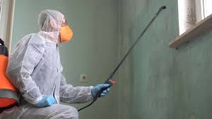 Biohazard Mold Removal in South Apopka, FL